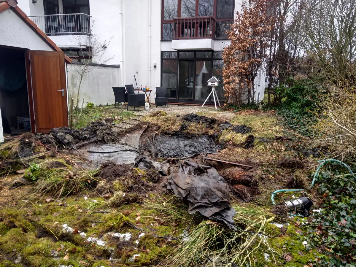 Verwilderter Garten vor dem Umbau